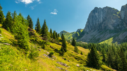 Wall Mural - Summer day trekking in the Carnic Alps, Friuli Venezia-Giulia, Italy