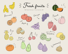 手書きのフルーツのイラスト素材のセット／果物／おしゃれ／かわいい
