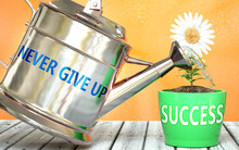 Never Give Up Helps Achieve Success - Pictured As Word Never Give Up On A Watering Can To Show That It Makes Success To Grow And It Is Essential For Profit In Life, 3d Illustration