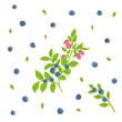 © CHEESEBURGER - Bilberry hand drawn vector illustration set. Blueberry collection. Berry, branch, flower, leaf design template