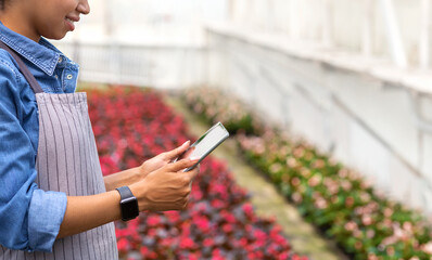 Wall Mural - Smiling african american girl in apron and smart watch holds tablet on plantation of flowers background