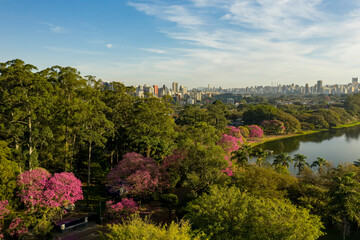 Fotos aéreas de parques em São Paulo, contraste da Natureza e o asfalto