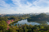 Fototapeta Miasto - Fotos aéreas de parques em São Paulo, contraste da Natureza e o asfalto