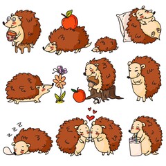 Wall Mural - Hedgehog character. Cartoon hedgehog set. Cute adorable prickly forest animal character drinking, sleeping, loving, gathering mushroom on white background. Spiny mammal creature vector illustration