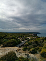  Beautiful coastal trail along the ocean near Wattamolla beach, Royal National Park, New South Wales, Australia