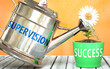 Supervision helps achieve success - pictured as word Supervision on a watering can to show that it makes success to grow and it is essential for profit in life, 3d illustration