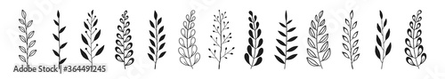 Fotografía Set of black laurels branches