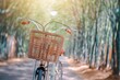 basket of bicycle and nature background