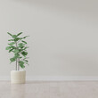 Green plant decorating the corner of a room - 3D Rendering