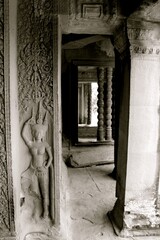 Wall Mural - angkor wat cambodia