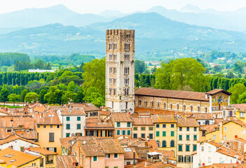 A view eastward from the Guinigi Tower towards towers in Lucca, Italy in summer