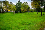 Fototapeta Tęcza - Green garden with grass. Summer courtyard with lawn. Beautiful summer landscape landscape park. Nature for background on postcard.