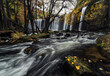 Amazing view of waterfall cascade and stream flowing through autumn forest with colorful yellow leaves on overcast day