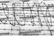 © Si And Si/ADDICTIVE STOCK - Black and white of spiky barbed wire above fence of local place of criminal confinement in Hong Kong