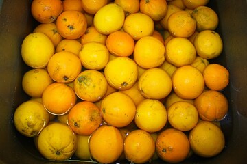 Fresh oranges under cool water