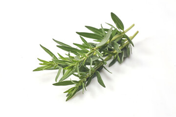 Fresh rosemary isolated on white background. Aromate herb.