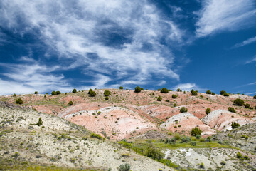 Canvas Print - Wyoming countryside in summer season, USA