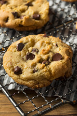 Sticker - Homemade Warm Chocolate Chip Cookies