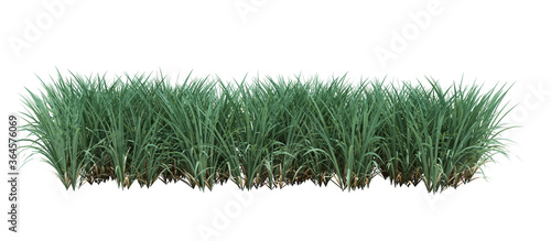 Fotomural 3d Render Brush Tree Isolated on white