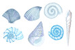 Hand-painted watercolor blue seashell illustrations. Marine theme turquoise
