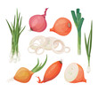 Onion, shallot, leek vector icon set. Cartoon drawings of raw vegetables, isolated graphic elements for packaging, menu.