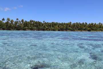 Wall Mural - Lagon turquoise paradisiaque à Taha'a, Polynésie française