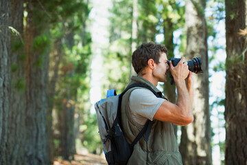 Wall Mural - Man using digital camera in woods