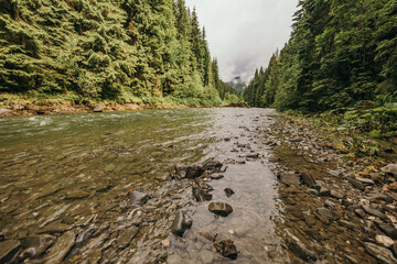 A rocky river with trees on either side of it