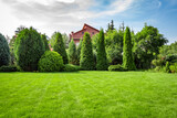 Freshly cut grass in the backyard of a private house.