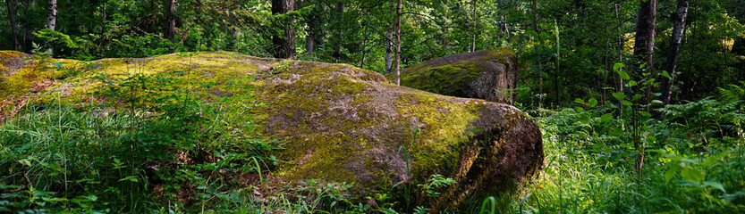 Wall Mural -  Moss on the rocks. Stolby national park in Krasnoyarsk. Forest and a large stones with green moss. Siberian nature landscape.