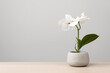 Isolated artificial potted flower plant on wooden desk