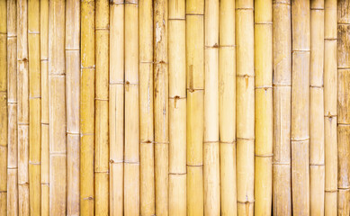 Bamboo wood texture fence wall abstract nature background