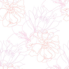 Floral Seamless Pattern Line Art