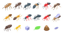 Ant Icons Set. Isometric Set Of Ant Vector Icons For Web Design Isolated On White Background