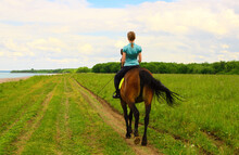 One Caucasian Horsewoman Is Riding Along The Rural Road, The Back View.