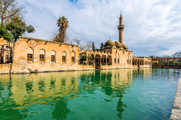 Balikligol ( fish lake ) in Sanliurfa City of Turkey