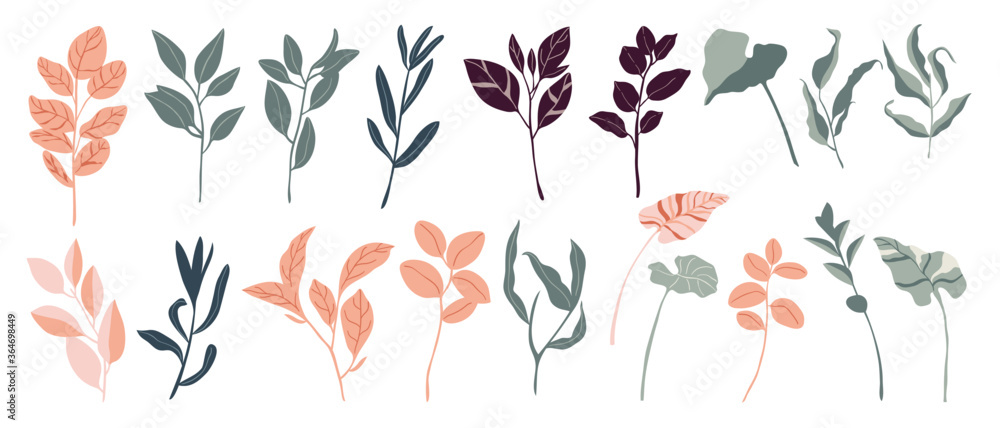 Tropical leaves and abstract exotic plan vector design elements on the white background. - obrazy, fototapety, plakaty 