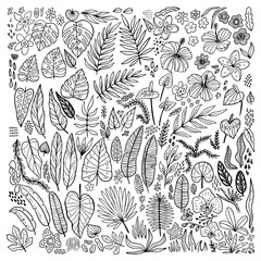 Tropical plants floral doodle set. Outline collection hawaiian flower, grass and leaves. Hand drawn palm leaves, foliage icons. Vector illustration isolated on white background. Exotic floral sketch.