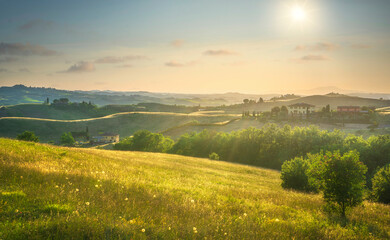 Poster - Certaldo canonica park at sunset. Florence, Tuscany, Italy