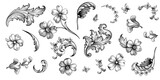 Fototapeta Dinusie - Vintage spring flower summer Baroque Victorian frame border floral ornament scroll leaf engraved retro pattern decorative design tattoo black and white filigree calligraphic vector