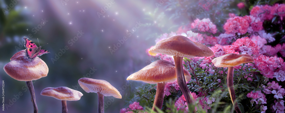 Magical fantasy mushrooms in enchanted fairy tale dreamy elf forest with fabulous fairytale blooming pink rose flower and butterfly on mysterious background, shiny glowing stars and moon rays in night - obrazy, fototapety, plakaty 