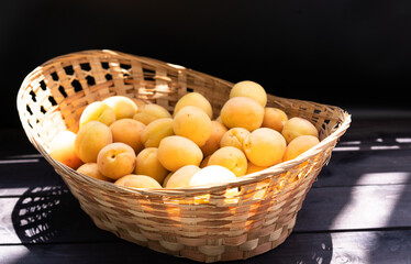 Ripe apricots in a wicker basket