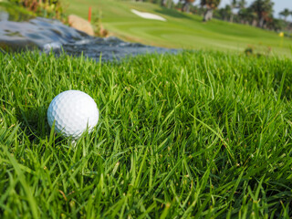 Golf ball on the green grass, background, stream running through the golf course