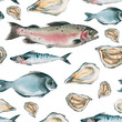 Seamless pattern with watercolor fish. Food illustration without background. Trout, salmon, dorado, mackerel isolated on white background