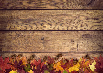 Wall Mural - autumn leaves and acorns on rustic wooden background. fall background with copy space.