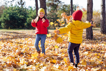 Wall Mural - Children two cute toddler girls having fun with yellow leaves on sunny warm day in autumn, kids throw leaves, young friends play activity fall concept outdoors.