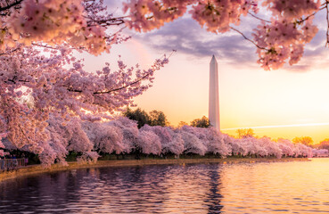 Washington Monument at Sunrise