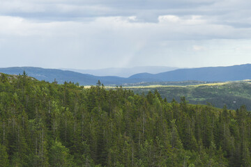 Wall Mural - Summer landscape in mountains area.