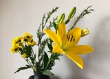 Fototapeta Mapy - flor amarilla