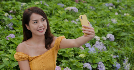 Canvas Print - Woman take selfie on cellphone in hydrangea flower field